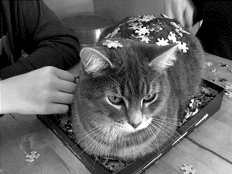 Imagen de Ruleta Rusa #622
