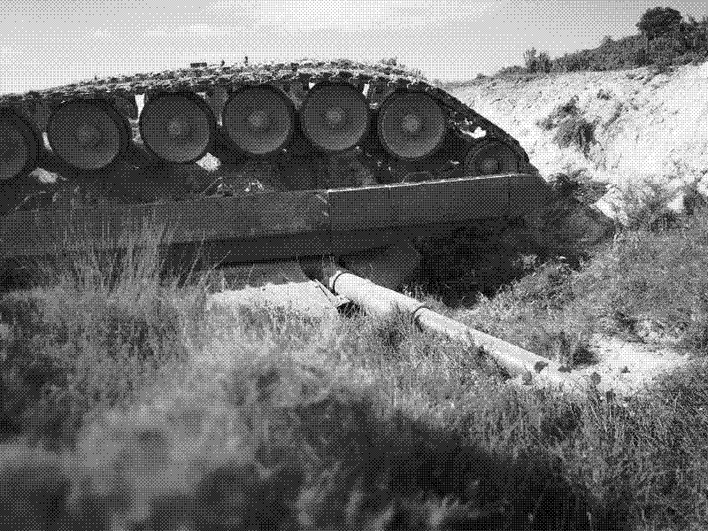Imagen de Tanques en paz - 12