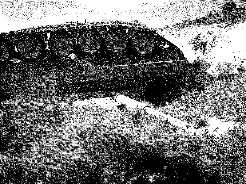 Imagen de Tanques en paz - 12
