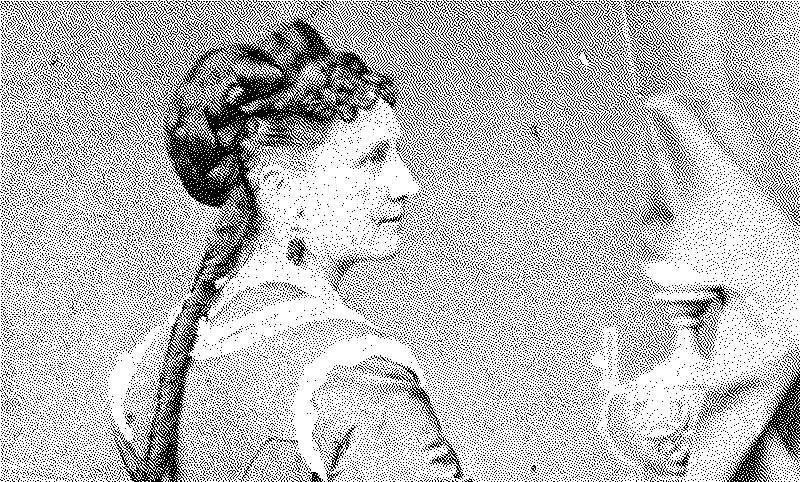 Imagen de Vidas Curiosas: Eunice Newton Foote la primera científica en darse cuenta del efecto invernadero