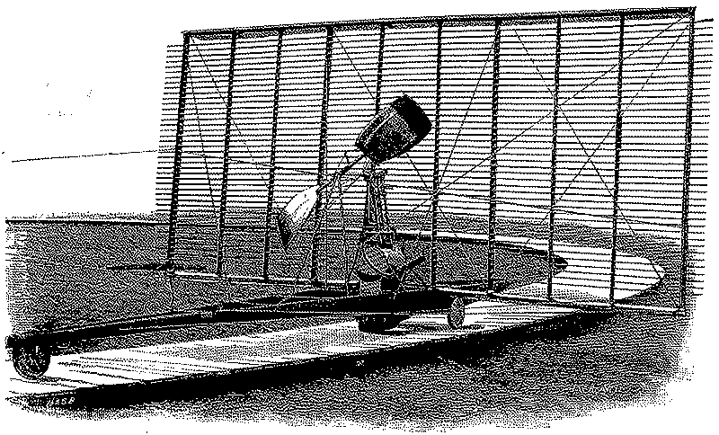 Imagen de Los delirantes aviones multiala de Horatio Phillips