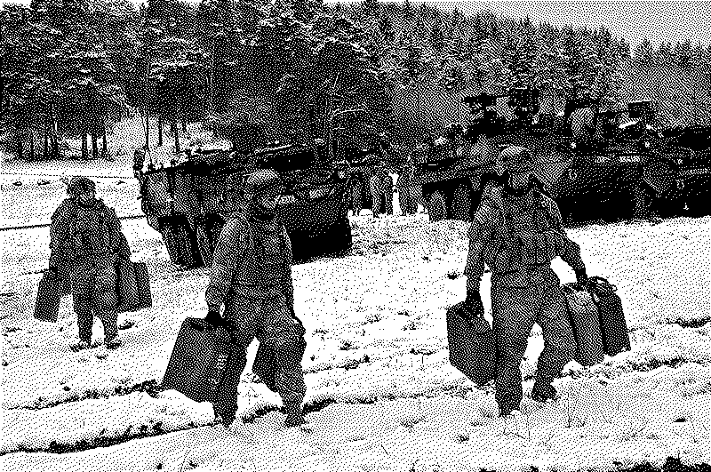 Imagen de El Jerrycan alemán y cómo la victoria depende el más tonto de tus equipamientos