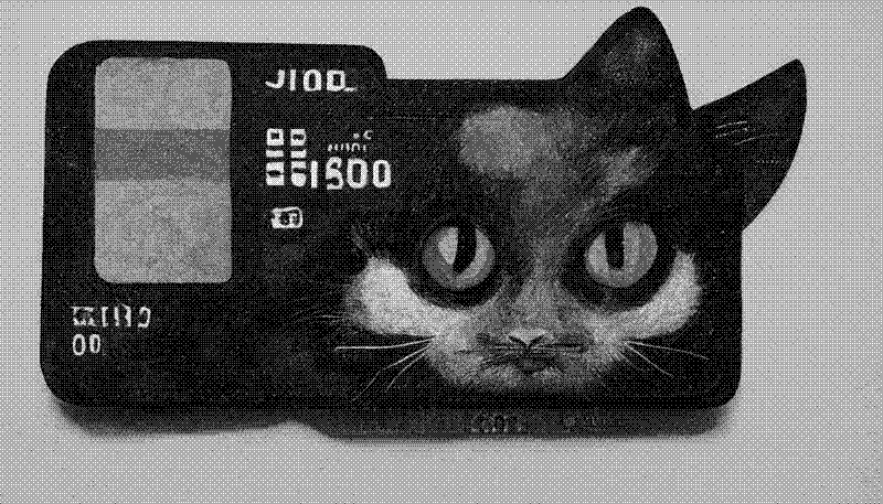 Imagen de El ladrón de tarjetas