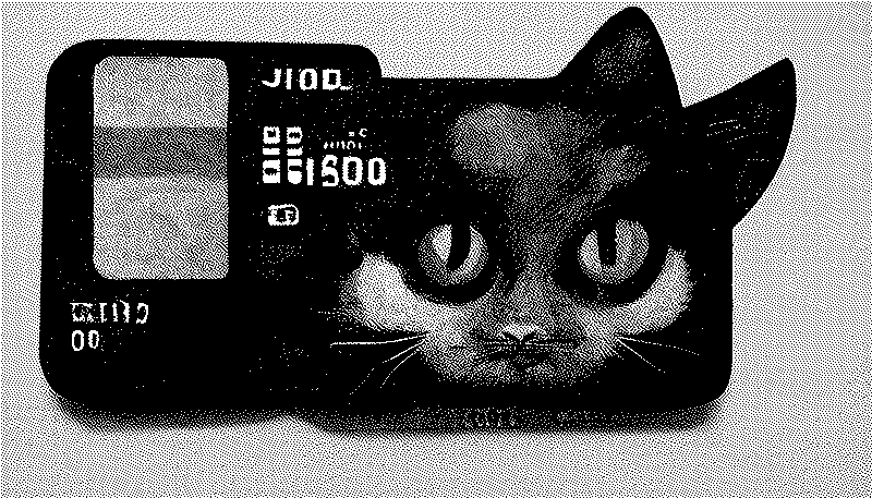 Imagen de El ladrón de tarjetas