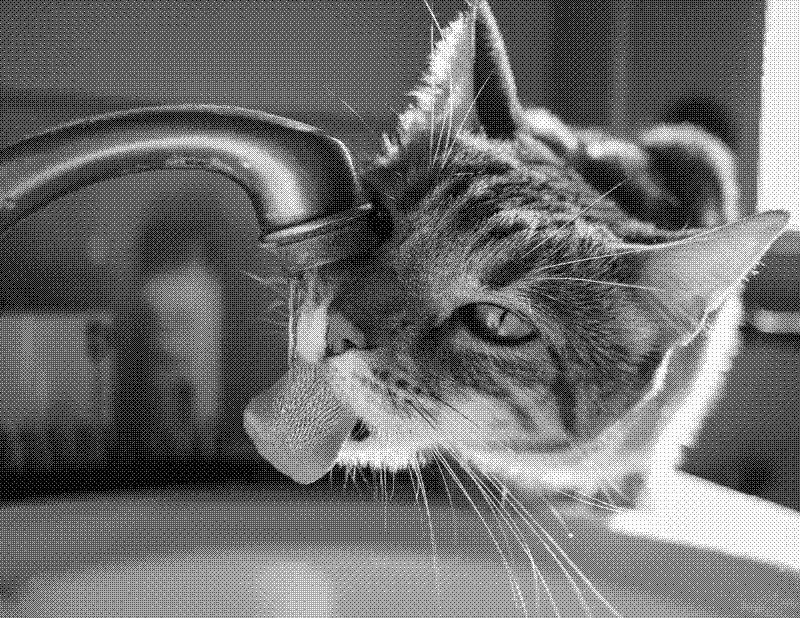 Imagen de Links de Viernes - #717