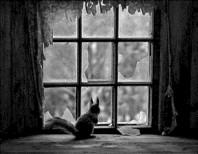Imagen de Links de Viernes - #739