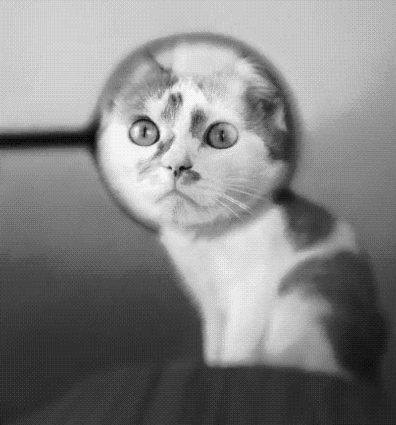 Imagen de Links de Viernes - #746