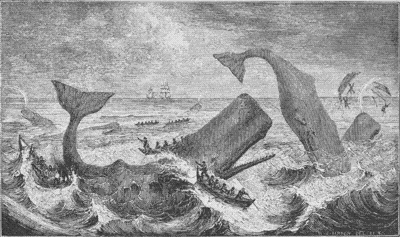 Imagen de La lámpara de Moby Dick