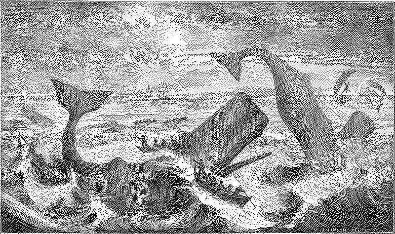 Imagen de La lámpara de Moby Dick
