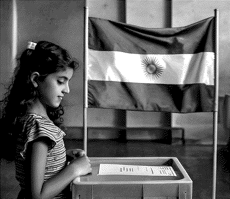 Imagen de Cómo NO elegir presidente
