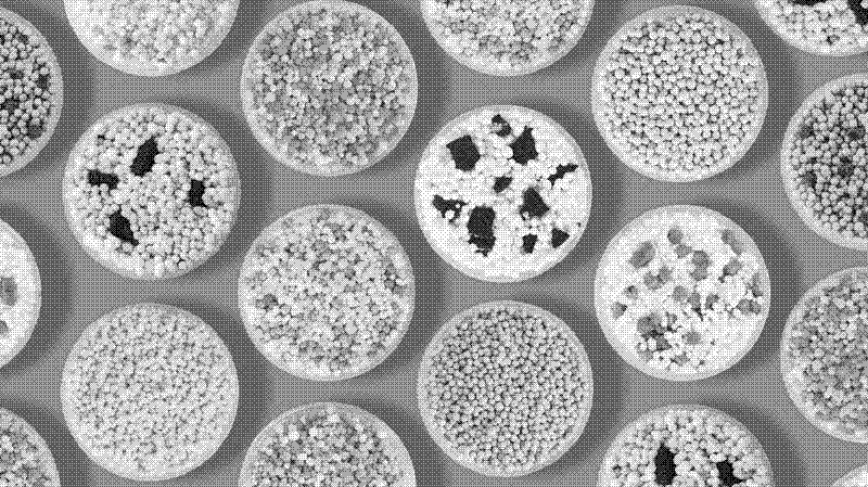 Imagen de De helado fracaso a éxito congelado - La historia de Dipping Dots