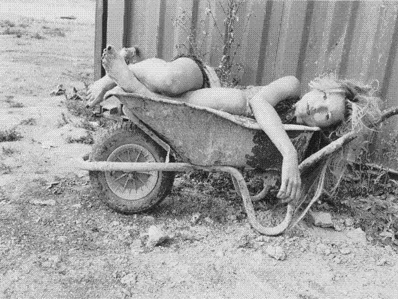 Imagen de Links de Viernes - #770