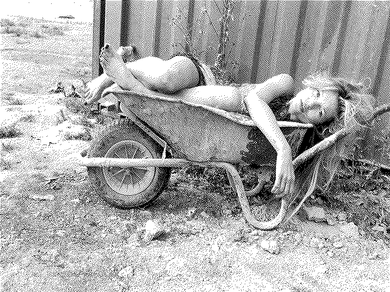 Imagen de Links de Viernes - #770