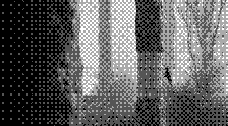 Imagen de Links de Viernes - #774