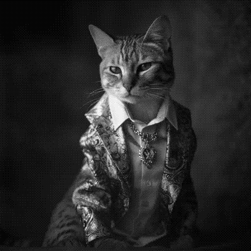 Imagen de Links de Viernes - #778