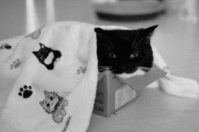 Imagen de Links de Viernes - #780