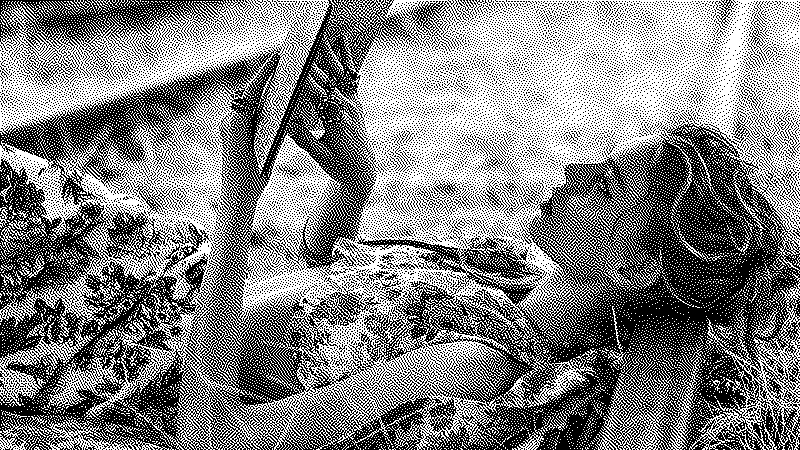 Imagen de Links de Viernes - #785