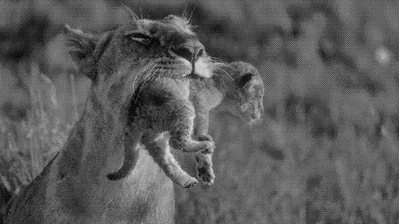 Imagen de Links de Viernes - #787