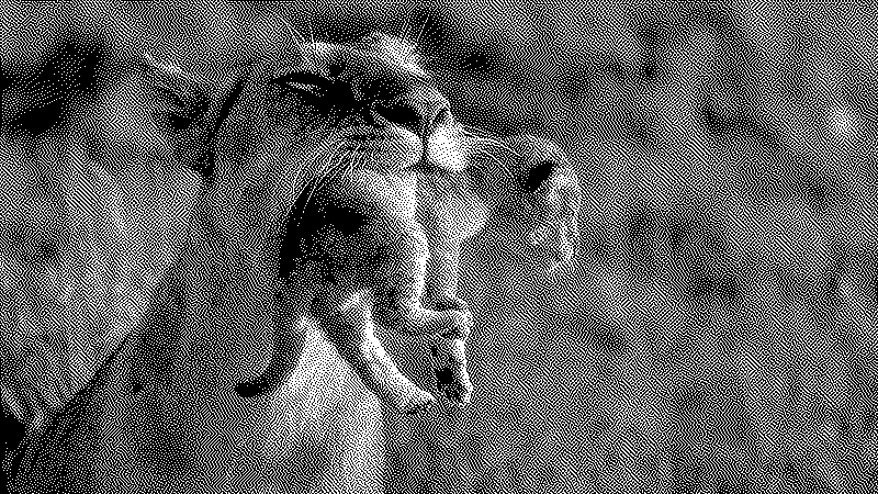 Imagen de Links de Viernes - #787