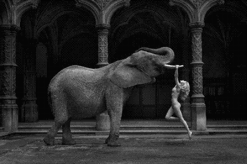 Imagen de Links de Viernes - #805