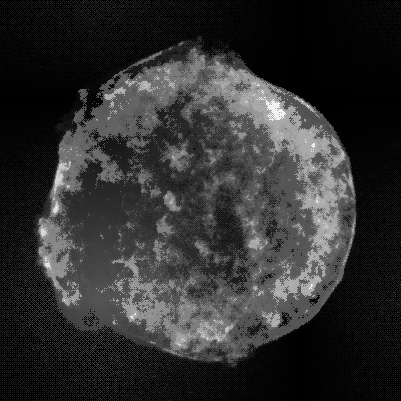Imagen de La supernova de Tycho