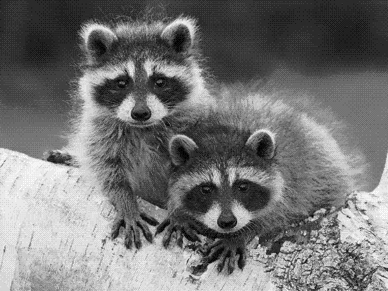 Imagen de Links de Viernes - #837