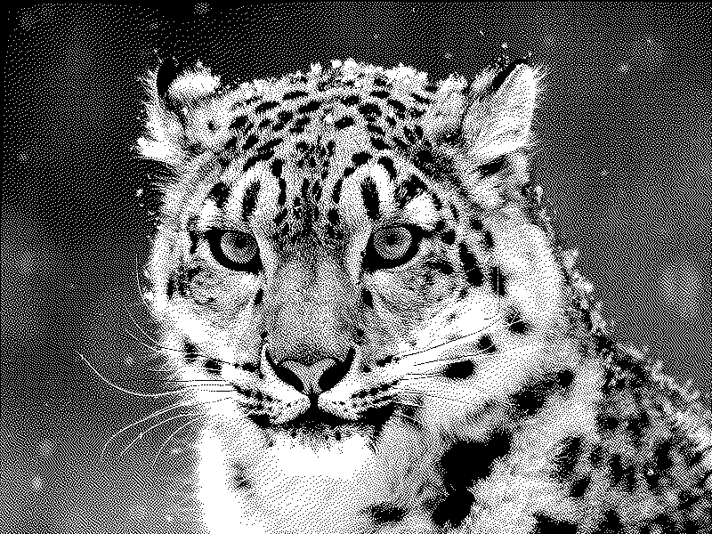 Imagen de Links de Viernes - #845