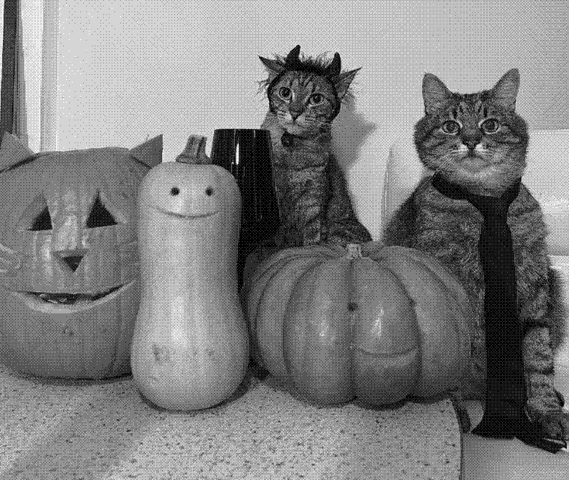 Imagen de Links de Viernes - #861