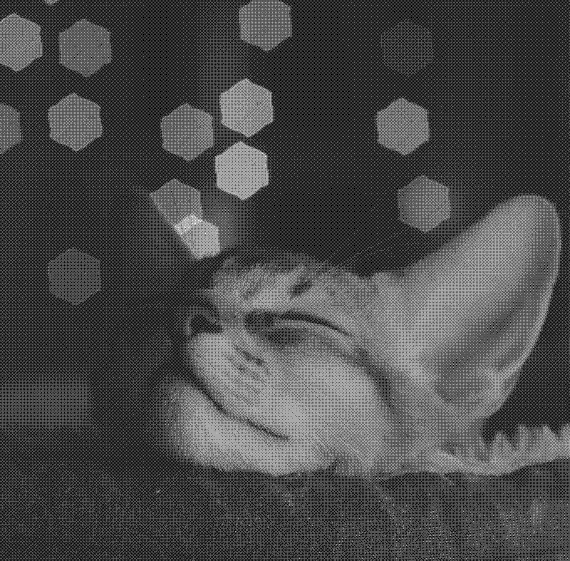 Imagen de Links de Viernes - #862