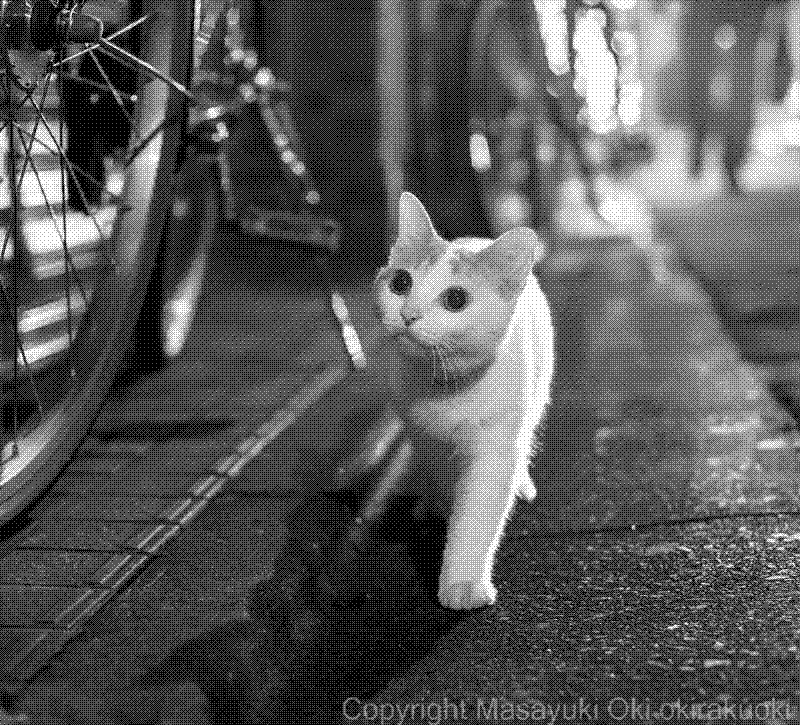 Imagen de Links de Viernes - #864