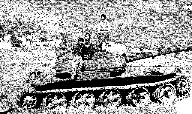 Imagen de Tanques en paz - 16