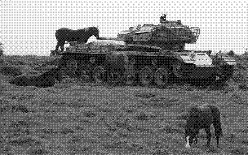 Imagen de Tanques en paz - 17