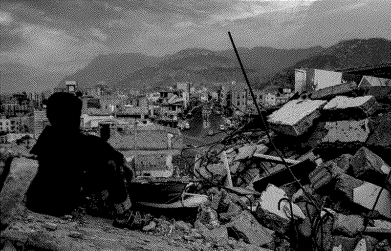 Imagen de Cómo un país de mierda se hizo más mierda, el caso de Yemen
