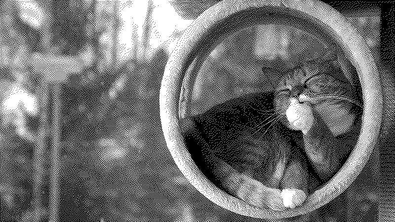 Imagen de 23 años del blog