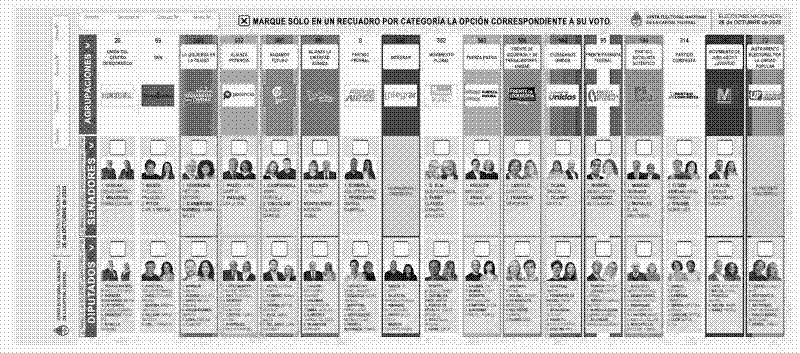 Imagen de La boleta única de papel funcionó