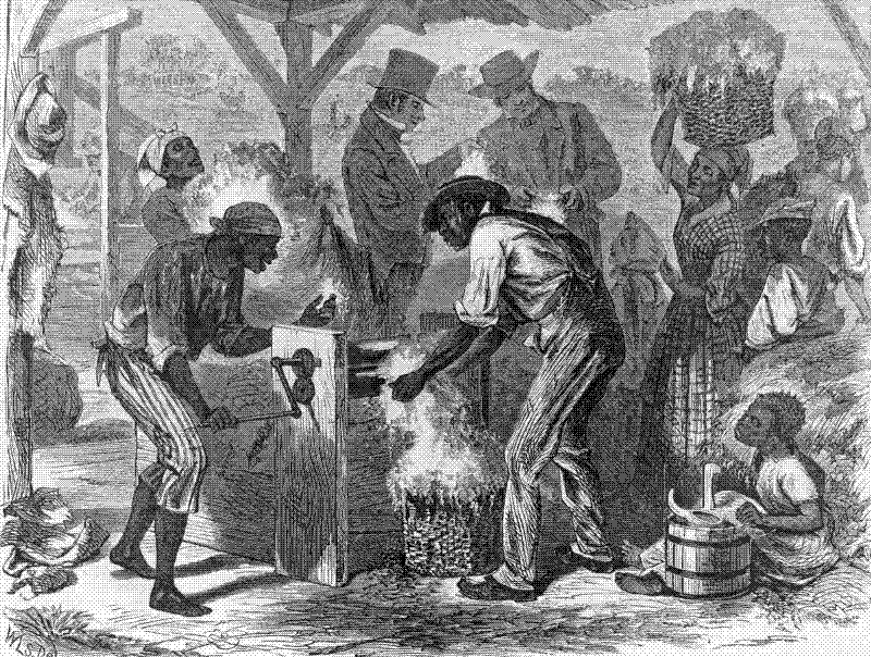 Imagen de El cotton gin de Eli Whitney y la esclavitud