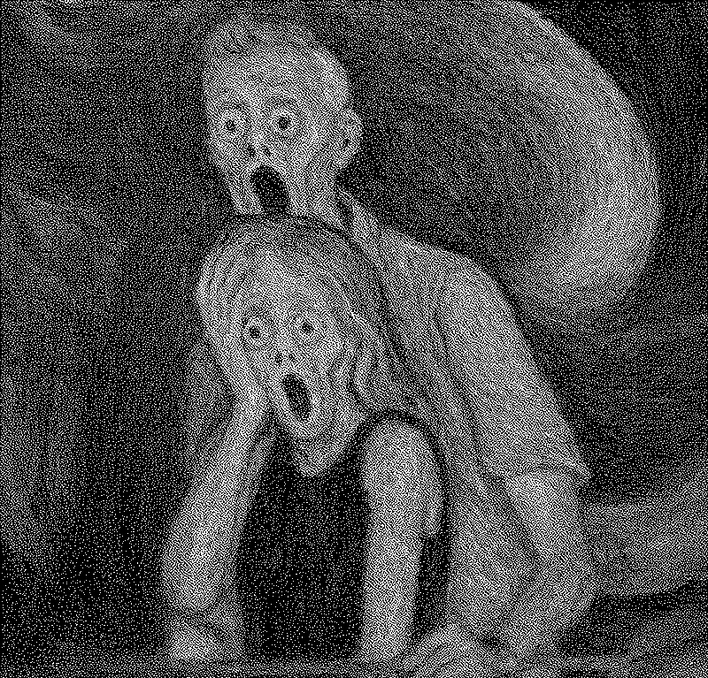 Imagen de De la muerte y los cuernos nadie se salva, del linchamiento público tampoco