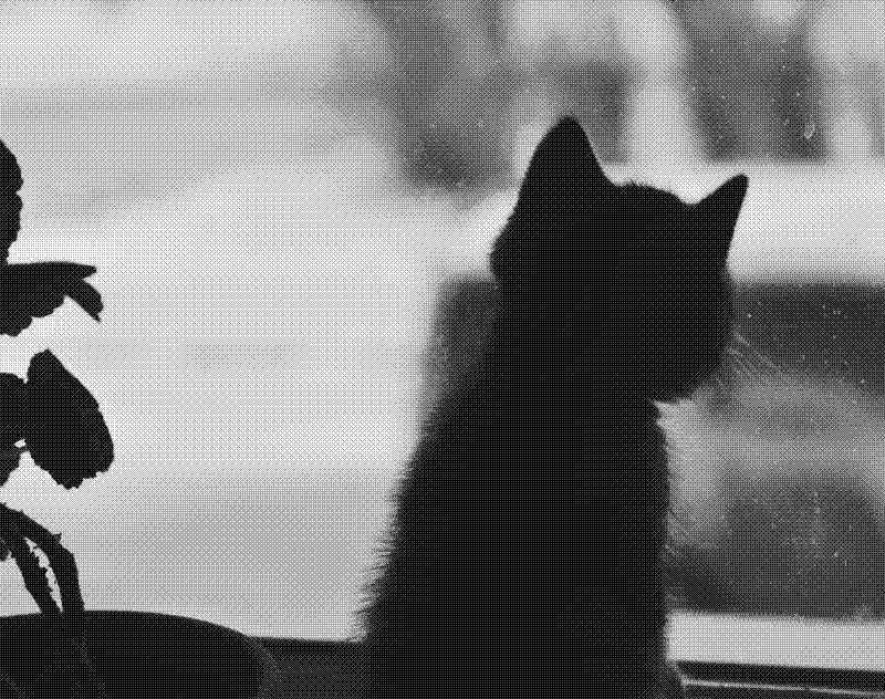 Imagen de Links de Viernes - #882