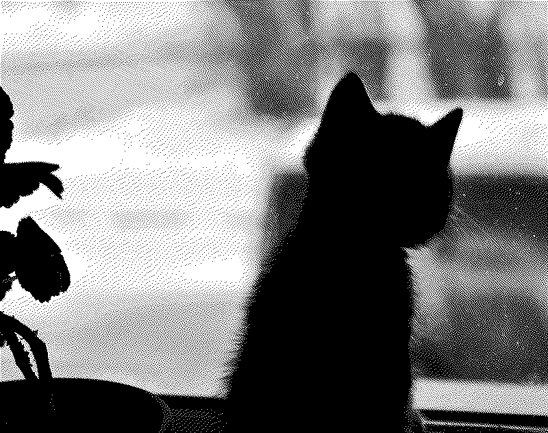 Imagen de Links de Viernes - #882