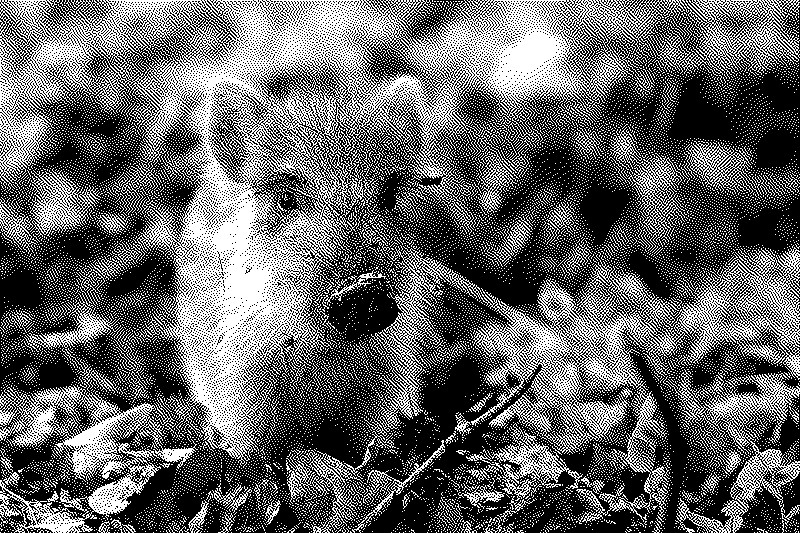 Imagen de Links de Viernes - #893