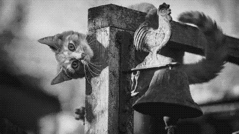 Imagen de Links de Viernes - #894