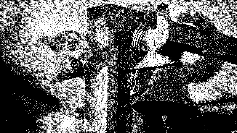 Imagen de Links de Viernes - #894