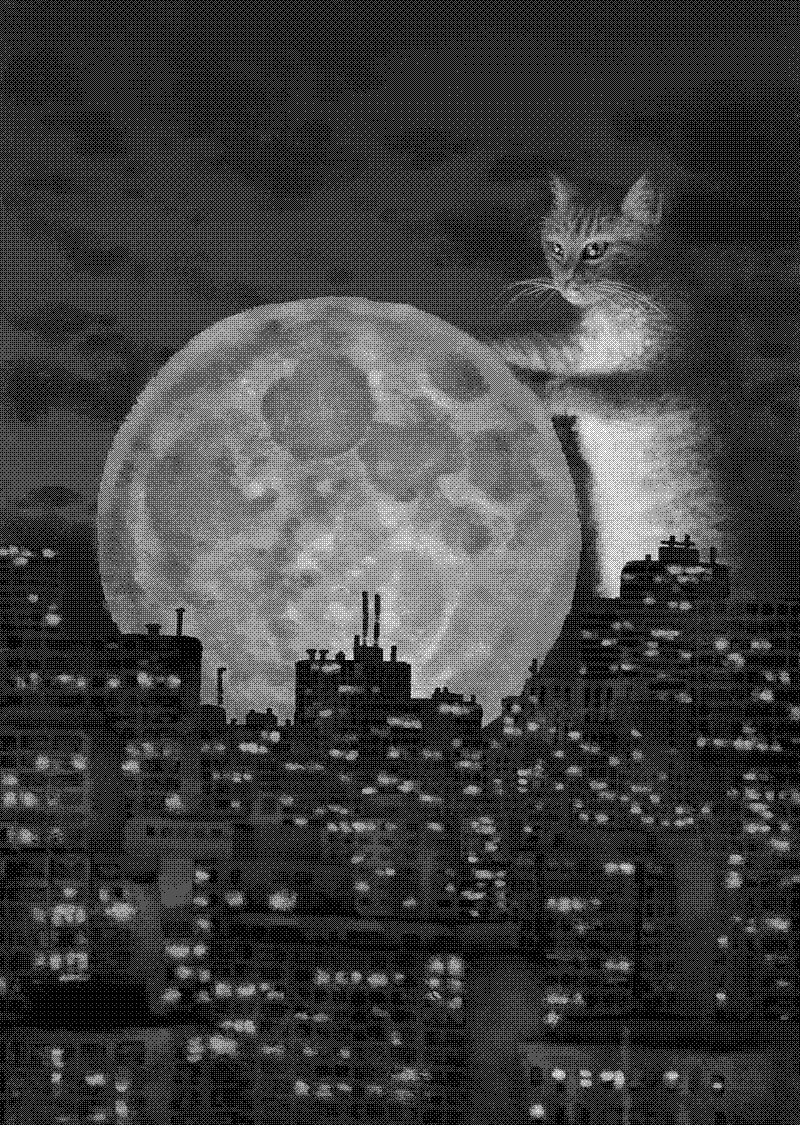 Imagen de Links de Viernes - #916