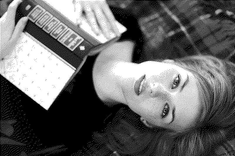 Imagen de Leer: la actividad más revolucionaria de la segunda mitad del siglo XXI