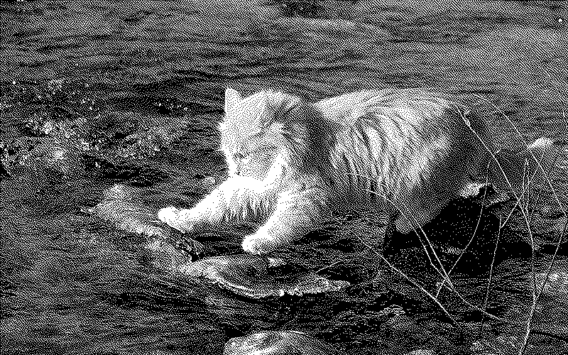 Imagen de Ruleta Rusa #835