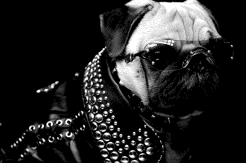 Imagen de Ruleta Rusa #836