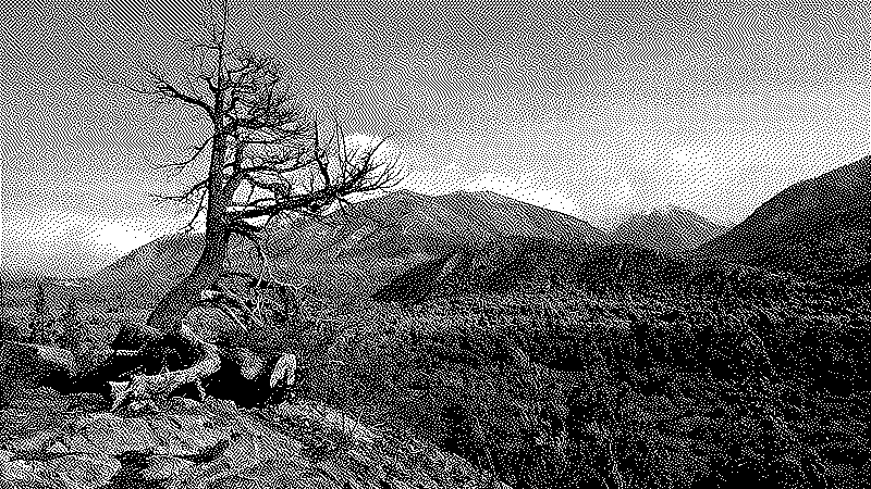 Imagen de Ruleta Rusa #839