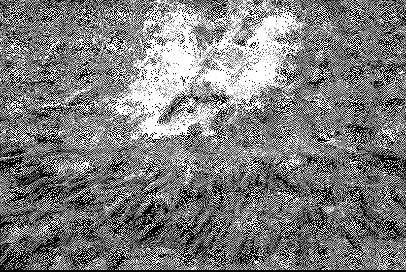 Imagen de Ruleta Rusa #853