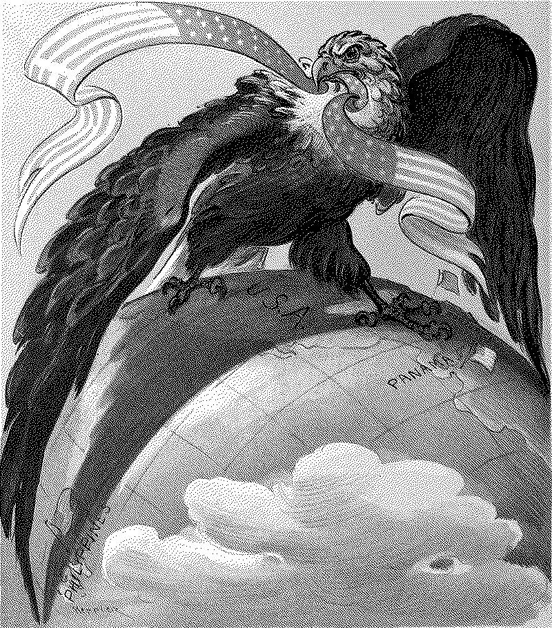 Imagen de Estados Unidos de Más Allá de América