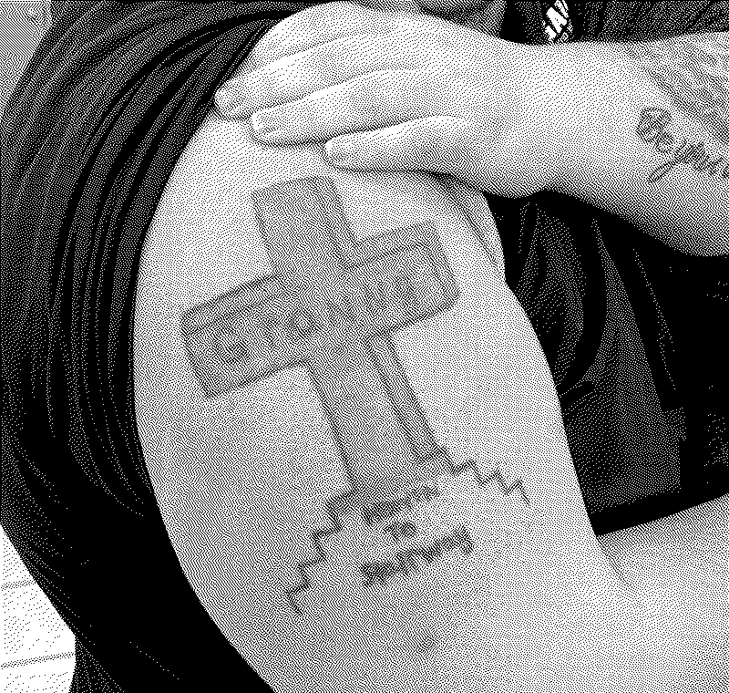 Imagen de BadTattoo: los peores tatuajes que jamás te deberías hacer - 22